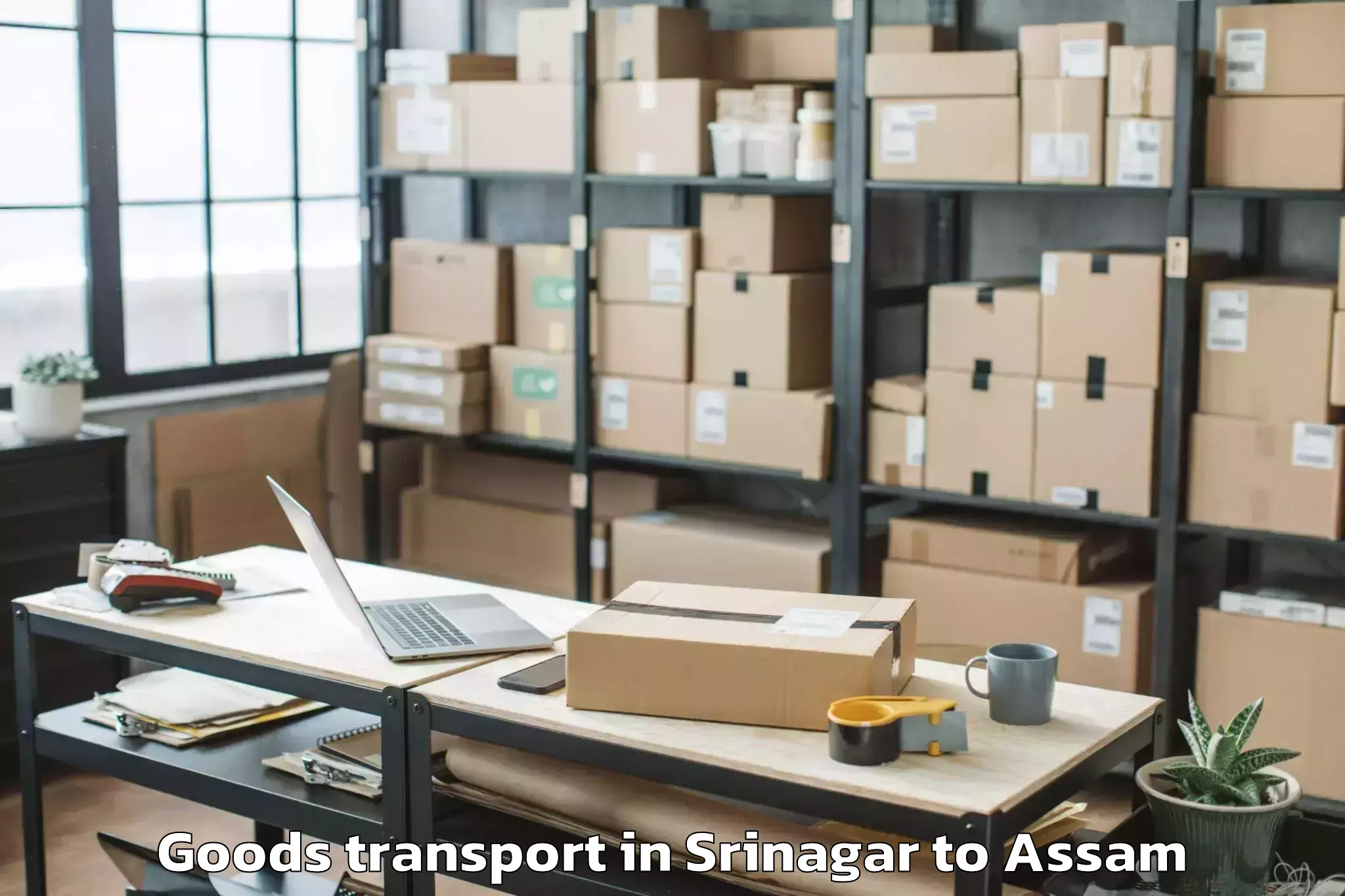 Easy Srinagar to Silonijan Goods Transport Booking